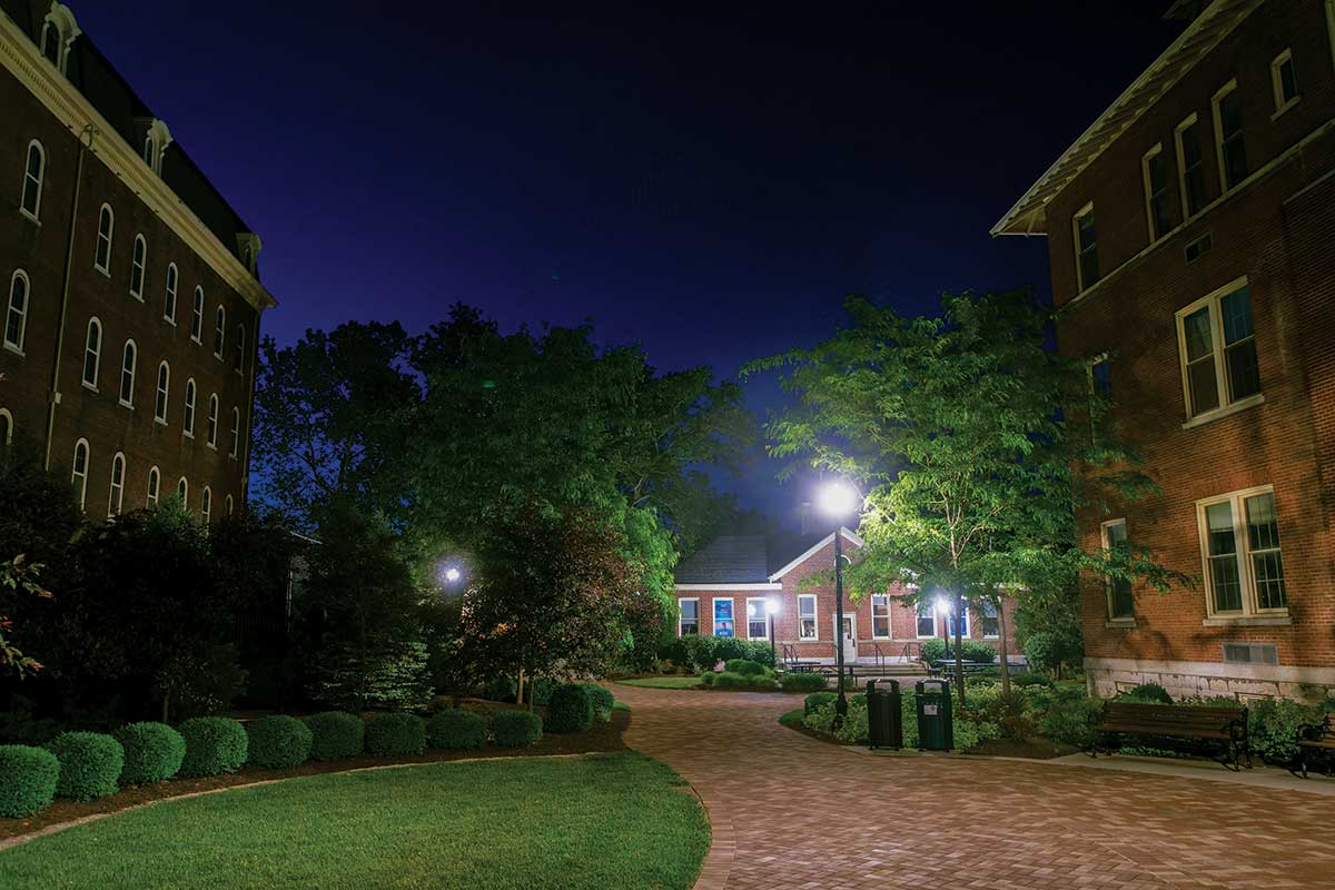 An empty sidewalk on campus is lit up by street lamps.